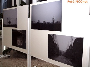 Különleges fotó- és festménykiállítás a VMK-ban