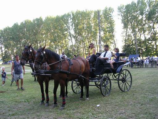 falunap2_259_20080725231833_808.JPG