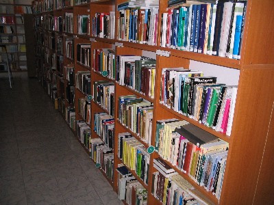konyvtar_nagy_172_20080719125355_343.jpg