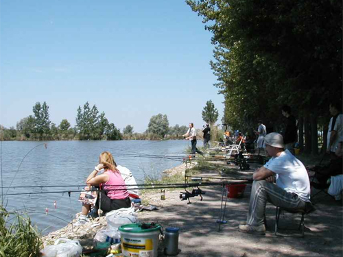nagyhalasz_nagy_114_2008072304755_180.jpg