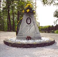 nyirerdo_nagy2_1000_20080730101010_626.jpg