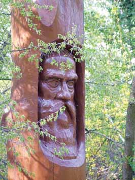nyirerdo_nagy_58_20080730101010_114.jpg