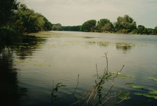 Árvíz tisza_875_20080726202459_152.jpg