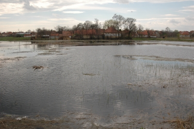 Vásárosnaménynál tetőzött délután a Tisza tisza_arviz3_499_20080729235634_491.jpg