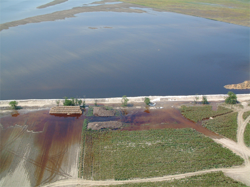 Árvíz tisza_arviz_152_20080729235634_123.jpg