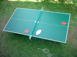 ping_nagy_395_2008080704637_838.jpg ping_nagy_395_2008080704637_838.jpg