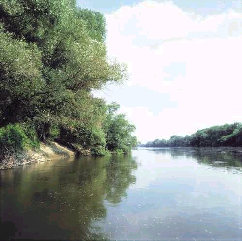 Megszűnt a harmadfokú készültség a Tiszán tisza_nagy_most_103_2008080181211_718.jpg