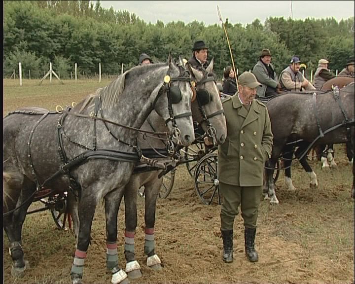 Hagyományápolás. Mátészalka Hagyományápolás. Mátészalka