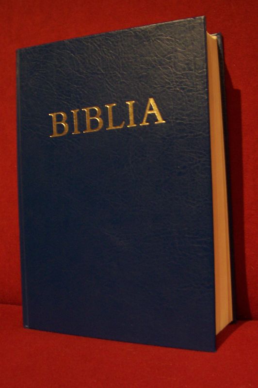 biblia1_331_20080920234141_5.jpg