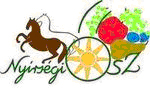 nyirsegi_osz_nagy2_264_20080903235219_937.jpg