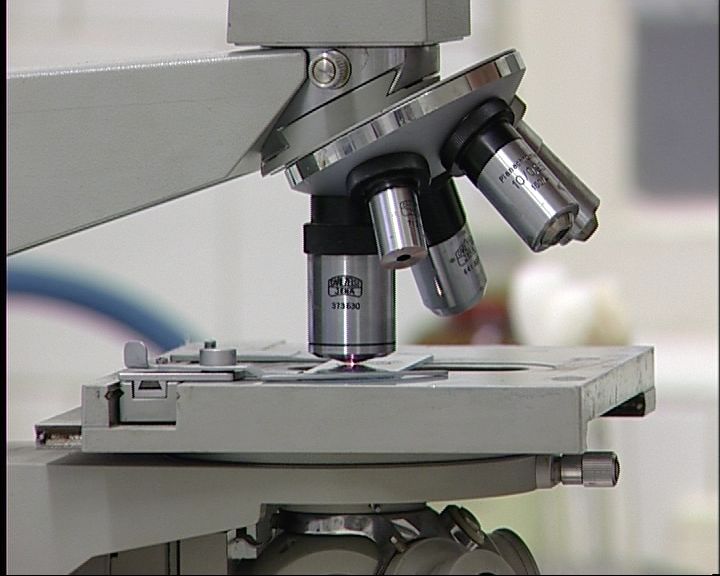 illegálisan előállított túró illegálisan előállított túró