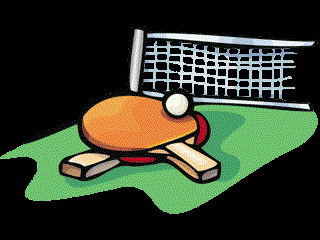 Asztalitenisz pingpong_nagy_556_20081018230933_737.jpg