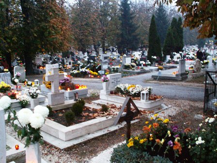 Nyíregyháza Online témakörei: Nyíregyháza látnivalói – Nyíregyháza-Sóstó – Sóstógyógyfürdő - Nyíregyháza - Nyíregyháza város - Nyíregyháza online - Nyíregyháza polgármester - Nyíregyháza önkormányzat - Szabolcs-Szatmár-Bereg megye - Nyíregyháza városi hírek - Nyíregyháza kultúra - Nyíregyháza sport - Nyíregyháza idegenforgalom - Nyíregyháza turizmus - Nyíregyháza hotel - Nyíregyháza wellness - Nyíregyháza étterem – gasztronómia - Nyíregyháza szórakozás - Nyíregyháza képeslap - Nyíregyháza ételrendelés - Nyíregyháza oktatás - Nyíregyháza pályázat - Nyíregyháza új autó - Nyíregyháza használtautó - Nyíregyháza ingatlan temeto_nagy_551_20081028230116_160.JPG