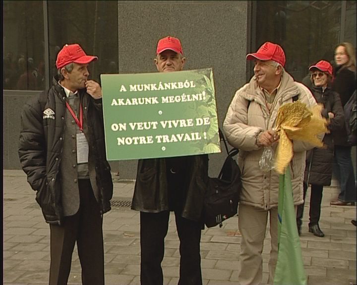 Munkahelyéért, megélhetéséért több mint 10 ezer gazda tüntetett szerdán Brüsszelben. Munkahelyéért, megélhetéséért több mint 10 ezer gazda tüntetett szerdán Brüsszelben.