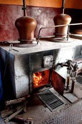 palinkafoz_klasszikus_976_20081108221707_585.jpg