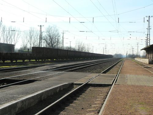 Természetesen feltehetik a kérdést, hogy mi lesz addig? Az elmúlt napokban tárgyalt a munkaügyi miniszter asszonnyal, a gazdasági minisztérium frissen kinevezett államtitkárával, és a Miniszterelnöki Hivatal szintén frissen kinevezett államtitkárával Tukacs Istvánnal, aki éppen azt kapta feladatul, hogy a gazdasági recesszió viszonyai között próbálja minimalizálni a veszteségeket. Mindhárom partner megértette, hogy a vasúti szállítás visszaesése az egy átmeneti időszak jellemzője lesz, és munkaerő megtartó pályázat előterjesztése esetén, azt feltétlenül támogatni fogják. Természetesen feltehetik a kérdést, hogy mi lesz addig? Az elmúlt napokban tárgyalt a munkaügyi miniszter asszonnyal, a gazdasági minisztérium frissen kinevezett államtitkárával, és a Miniszterelnöki Hivatal szintén frissen kinevezett államtitkárával Tukacs Istvánnal, aki éppen azt kapta feladatul, hogy a gazdasági recesszió viszonyai között próbálja minimalizálni a veszteségeket. Mindhárom partner megértette, hogy a vasúti szállítás visszaesése az egy átmeneti időszak jellemzője lesz, és munkaerő megtartó pályázat előterjesztése esetén, azt feltétlenül támogatni fogják.