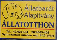 allatbarat_816_20090111155401_638.jpg