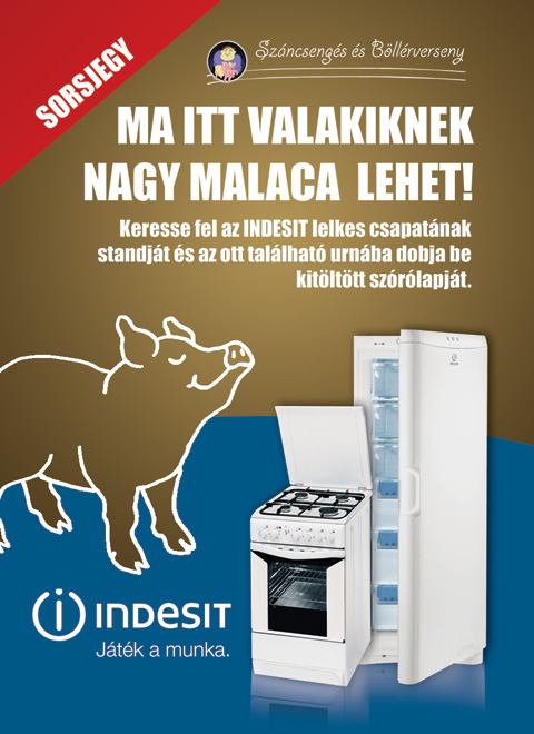 A főtámogató - VIII. Nemzetközi Böllérverseny Fogópálinka, disznótoros, és sztárvendégek Napkoron