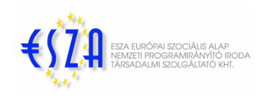 Regionális konferencia esza_nagy_286_20090213104858_389.jpg