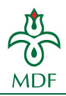 Az MDF közleménye az EP listáról Az MDF közleménye