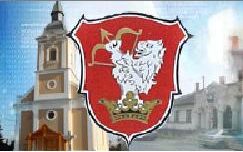 Időközi választás 