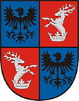 Városi rang