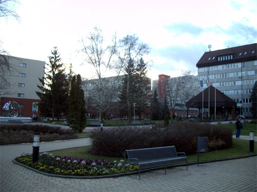 Világbajnok Campus