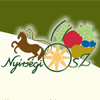Véget ért a Nyírségi Ősz 
