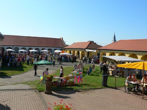 tuzser_falunap_kastely_almanap_foto_korij