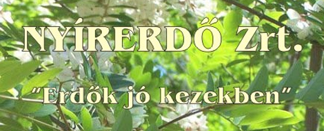 A közmunka éve volt a NYÍRERDŐ-nél