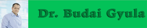 Dr.Budai Gyula
