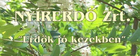 Gázolajat loptak a  NYÍRERDŐ Zrt. erdészetéből