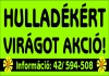 akció
