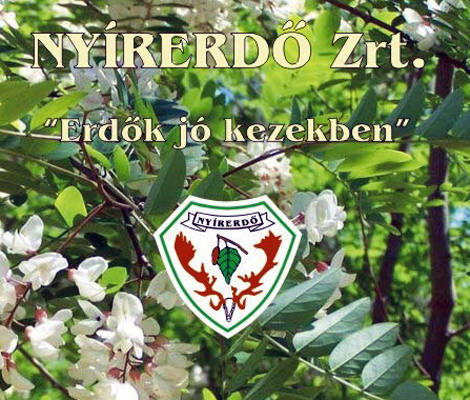 A Magyar Köztársasági Érdemrend Lovagkeresztjét vehette át a NYÍRERDŐ vezérigazgató helyettese