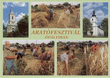 16. Nemzetközi Aratófesztivál 16. Nemzetközi Aratófesztivál