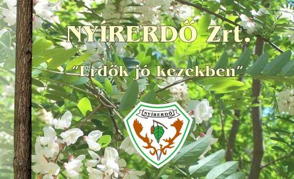 Nyírerdő Zrt