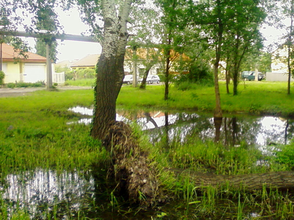 belvíz