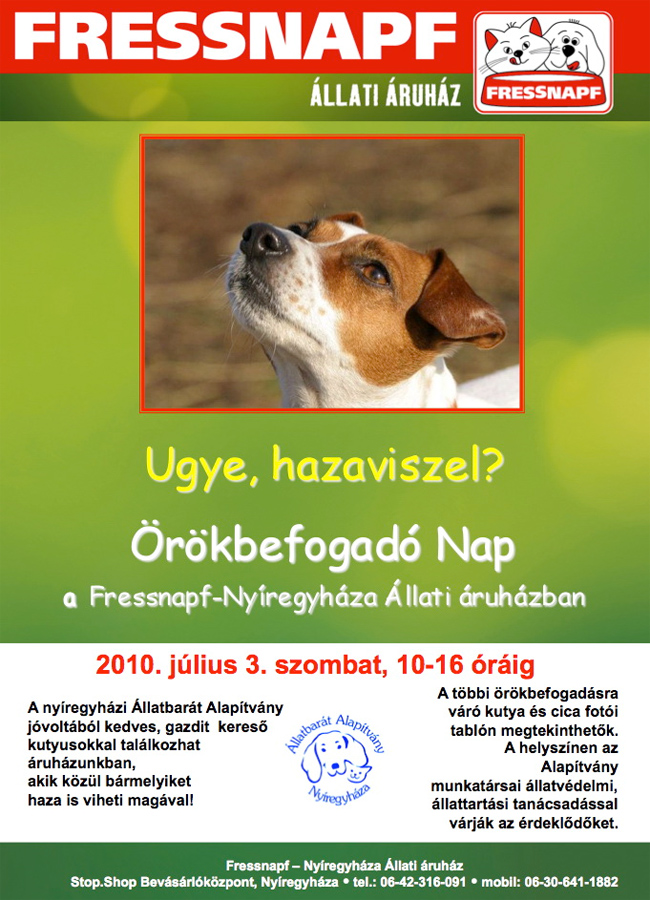 Örökbefogadó Nap Nyíregyházán - vigye haza kedvencét szombaton!