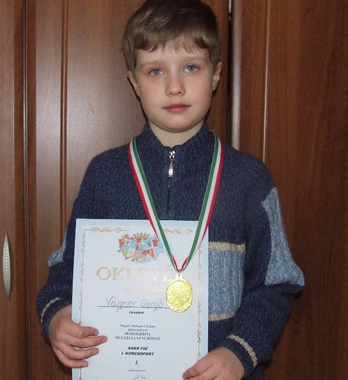 A határvárosi Árpád Vezér Általános Iskola első osztályt végzett kisdiákja az elmúlt két hétben a XXIX. Nyírségi Torna nemzetközi sakkverseny 14 éven aluliak mezőnyében szerepelt, ahol a 64 fős csoportban az előkelő 11. helyezést szerezte meg. vagner_gergo_502_20100722123230_769.JPG