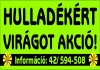  Hulladékért virágot akció