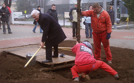 Fát ültetett a polgármester Nyíregyházán