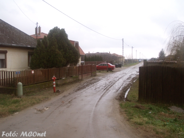 Kistelekiszőlő