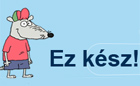 Szabolcs megyei iskolák sikere