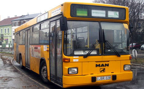 busz