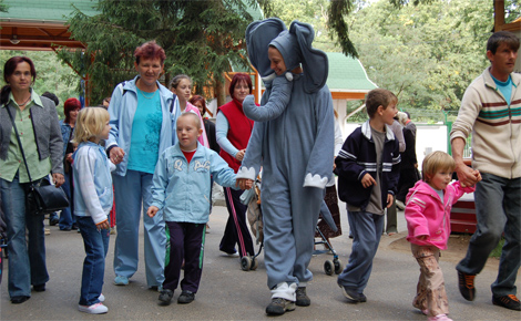 Dream Day a Sóstó Zoo-ban