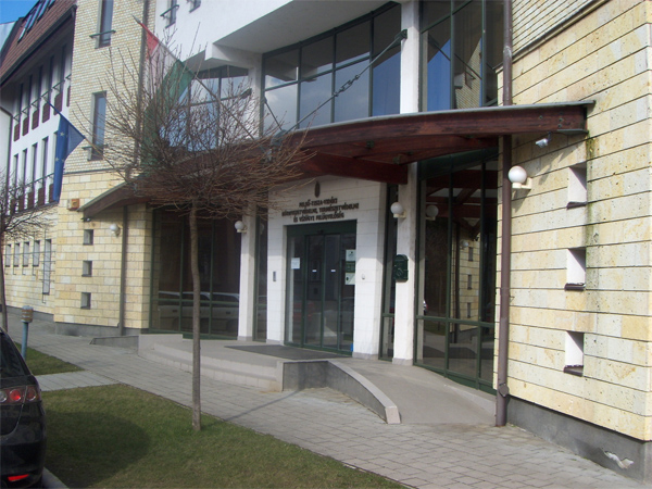 fetikövizig