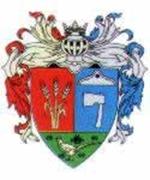 Két jelölt indul az időközi polgármester-választáson 2012.január 15-én Nyírmihálydiban Nyírmihálydi
