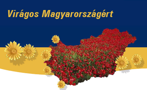 Virágos Magyarországért környezetszépítő  versenyen.