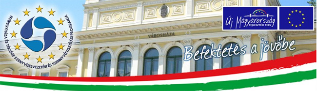 A Nyíregyháza és Térsége Szennyvízelvezetési és Szennyvíztisztítási Program