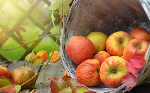 Bizakodnak a szabolcsi almatermelők